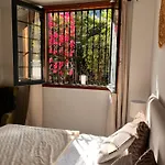 Buganvilla Garden Puerto de la Cruz (Tenerife)