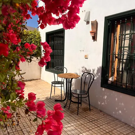 Buganvilla Garden Lejlighed Puerto de la Cruz (Tenerife)