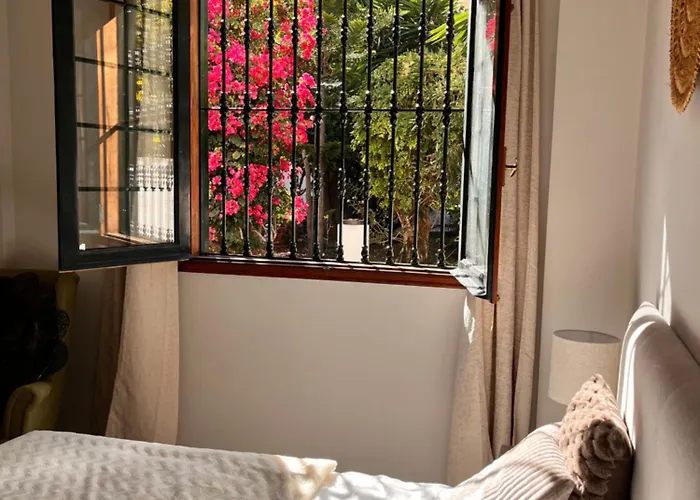 Buganvilla Garden Puerto de la Cruz (Tenerife)