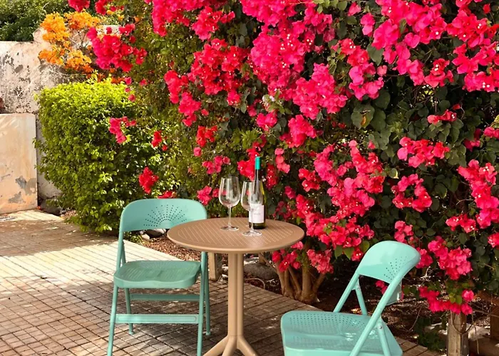 Buganvilla Garden Puerto de la Cruz (Tenerife)